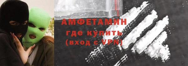 прущие грибы Абинск