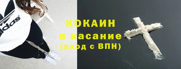 прущие грибы Абинск