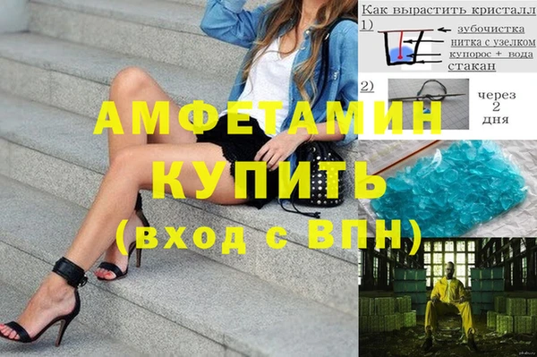 прущие грибы Абинск