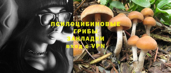 а пвп мука Абдулино