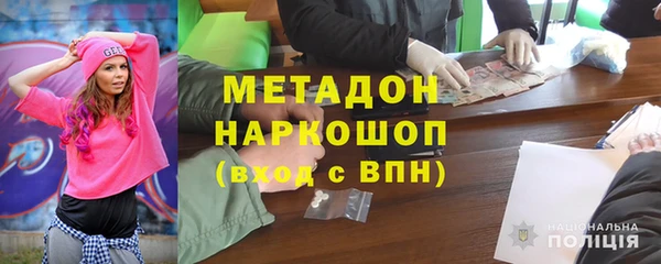 прущие грибы Абинск
